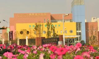 武汉碧桂园学校 武汉碧桂园学校