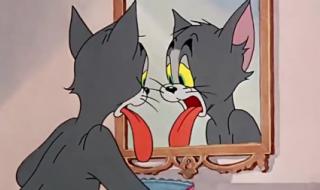 猫和老鼠消失的22集